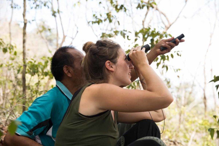 Bird Watching