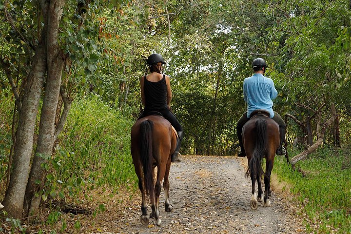 Horseback Riding