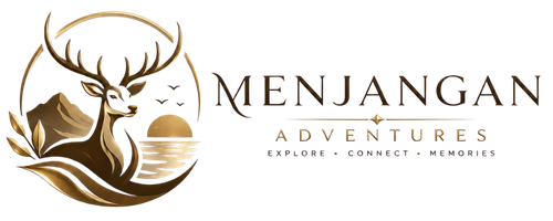Bali Menjangan Activities | Menjangan Snorkeling-Ijen-Dolphine Tour