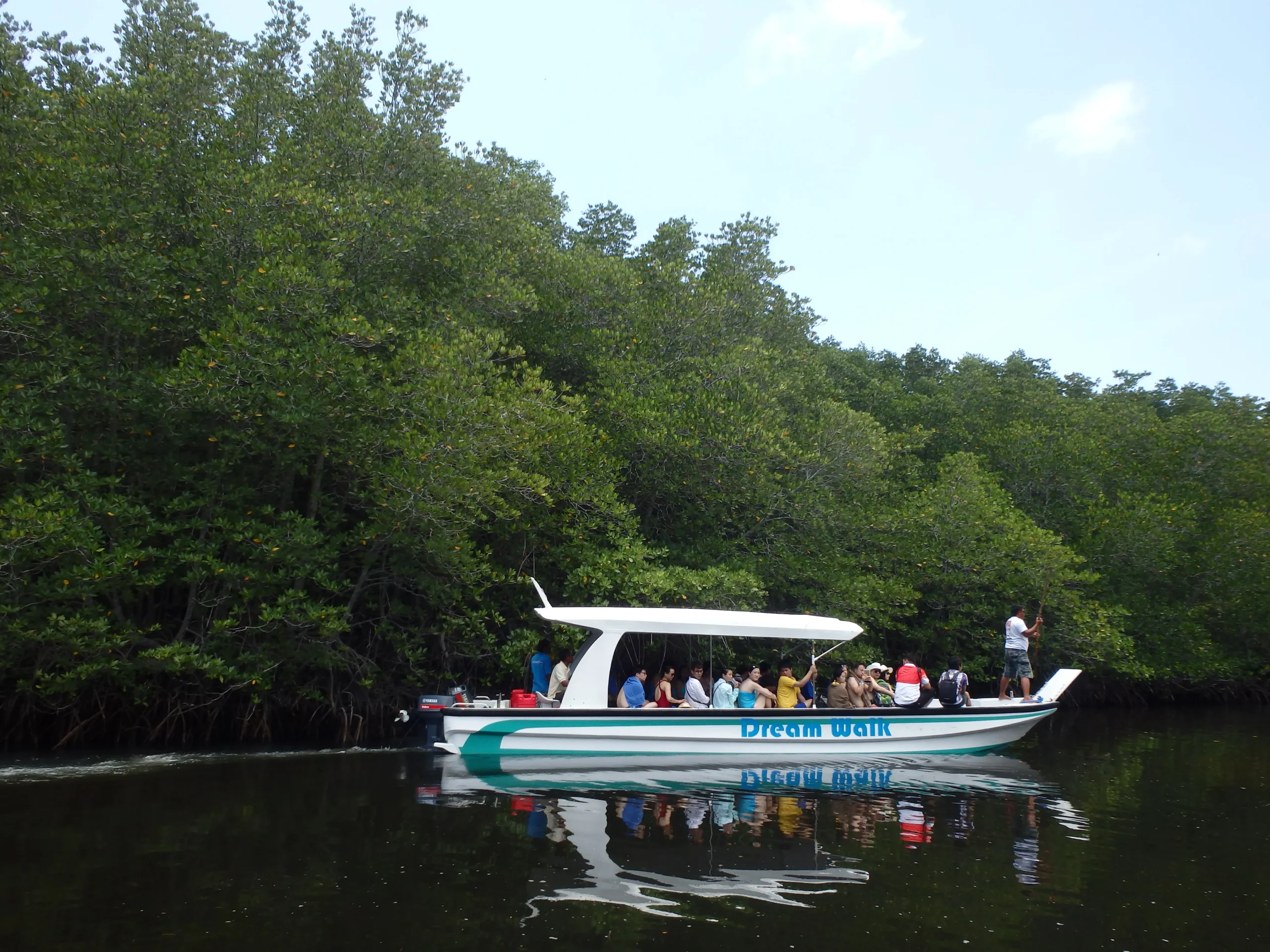 Mangrove Tour by Boat or Canoe
