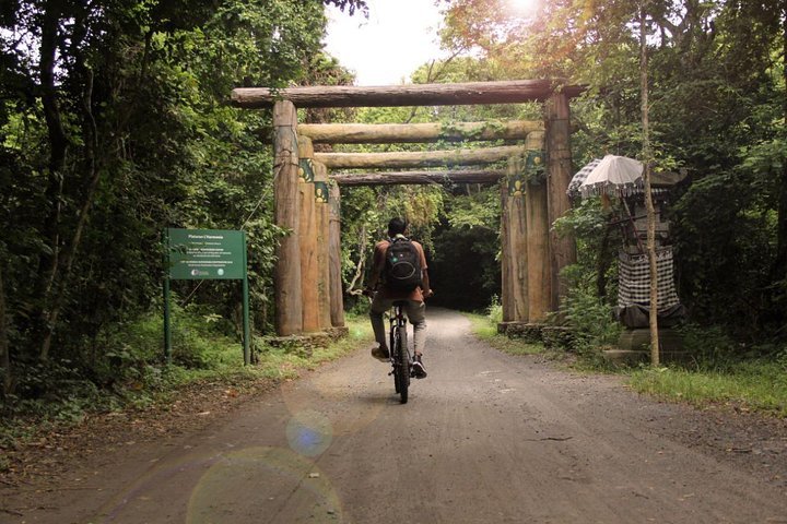 Jungle Trekking & Mountain Biking